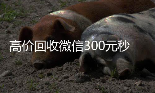高价回收微信30024小时全天回收vx元秒结（高价回收vx300元秒结）